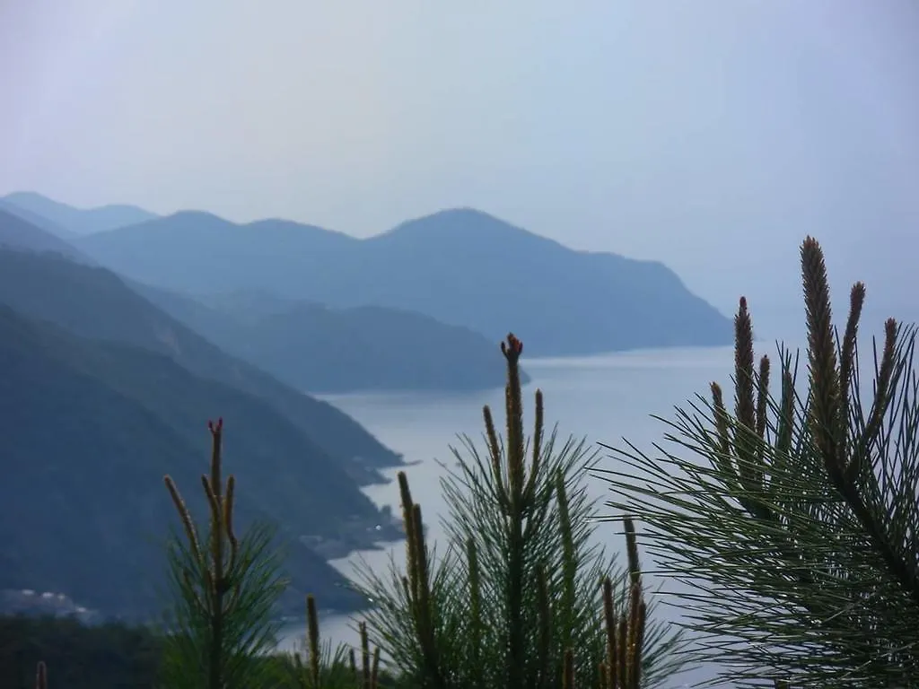 Villa Venino Moneglia Hébergement de vacances